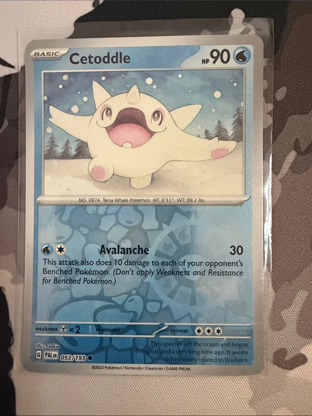 Cetoddle & Cetitan Pokémon Evolution Reverse Holo Card Lot 🧊 | 4 Cards ✨5/$25✨